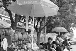 吃瓜帐篷事件,揭秘网络热议背后的真相与争议