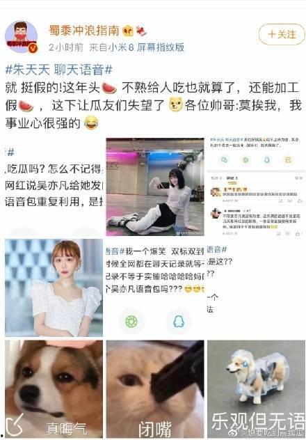 吃大瓜营销号,流量密码背后的秘密