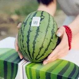 和喜欢的人吃瓜,与心爱之人共享的甜蜜时光