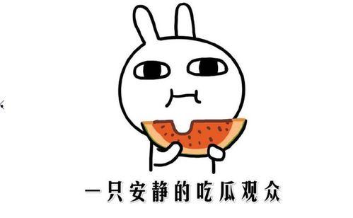 给我吃瓜是啥意思,网络热词背后的文化现象