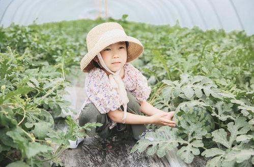 吃瓜群众江灵,揭秘吃瓜群众的趣味生活